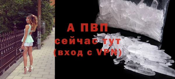 прущие грибы Нея