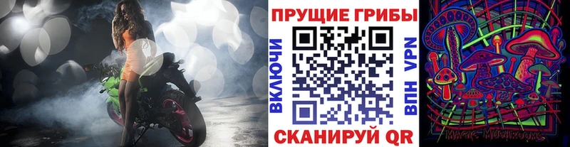 Купить закладки  Ахтырский  Псилоцибиновые грибы Magic Shrooms 